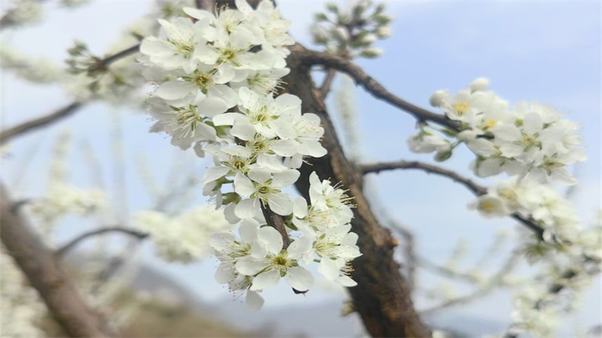c98dfd9c786fb445daa0e3268a7fc8db.jpg c98dfd9c786fb445daa0e3268a7fc8db.jpg