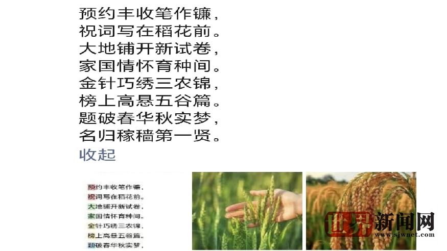 cb7a99ce840d91801ba1a1faa7e169a8.jpg