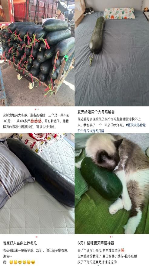 ffd93064256d4decefab8c88c021e7b7.jpg