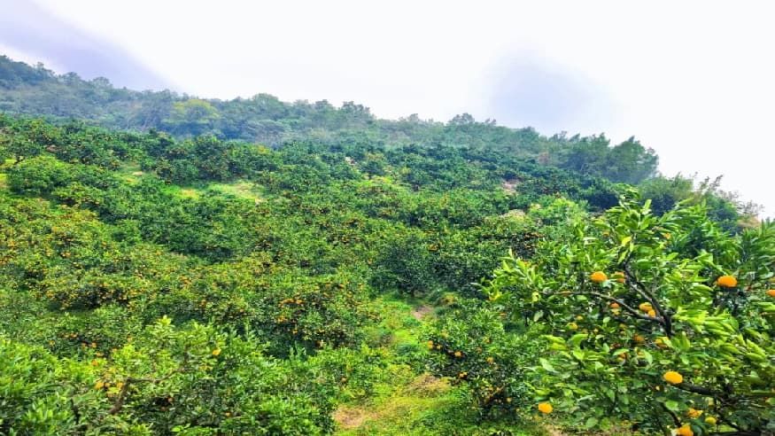 1f390bbbb067e62fcaac90c8782453f5.jpg 1f390bbbb067e62fcaac90c8782453f5.jpg