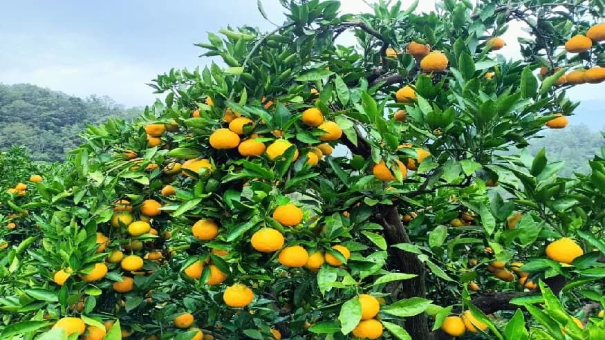 26d7534ce9fe6c1016af6571092dcf0d.jpg 26d7534ce9fe6c1016af6571092dcf0d.jpg