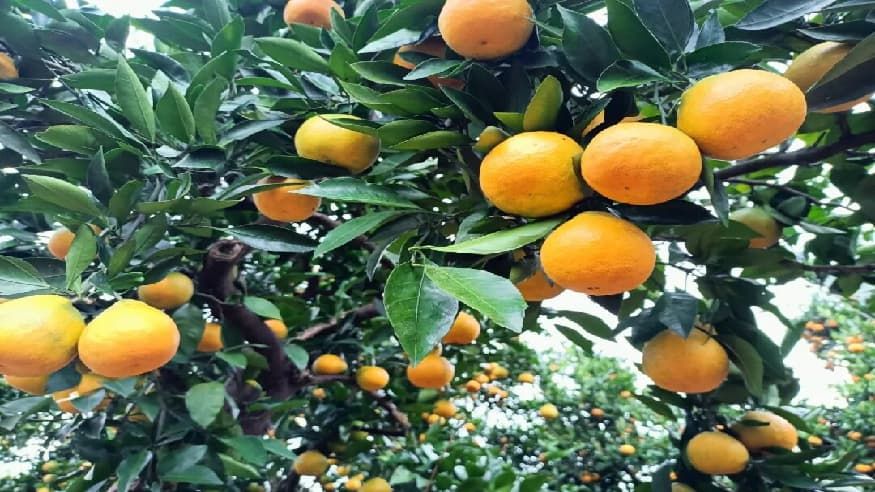 64efd0d7edaaf559e3d044bb0438c3ee.jpg 64efd0d7edaaf559e3d044bb0438c3ee.jpg