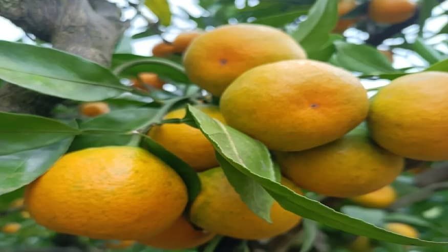 b5e529d5dbfaf07254fd3742f7c71c58.jpg b5e529d5dbfaf07254fd3742f7c71c58.jpg