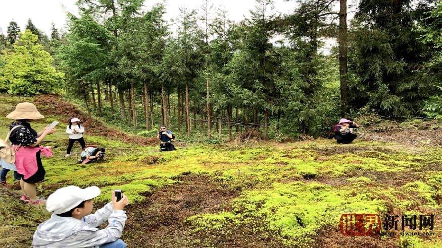 0b934d95c2520593043469f727eb5d16.jpg 0b934d95c2520593043469f727eb5d16.jpg