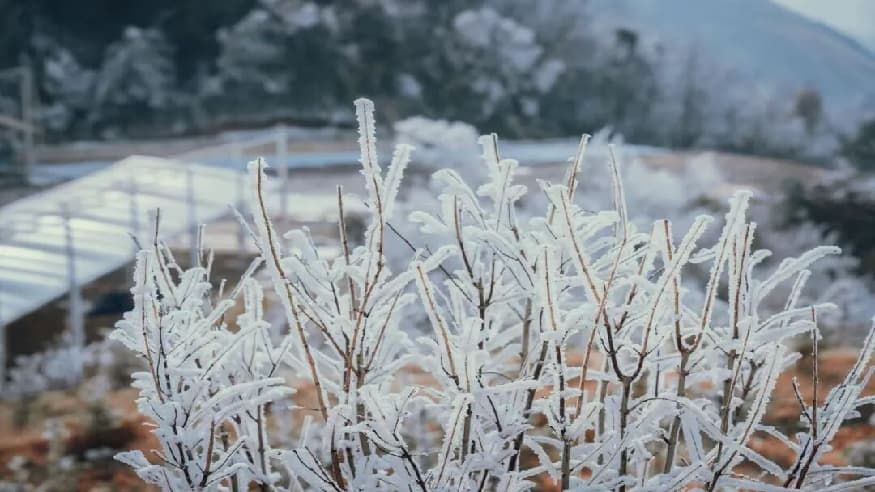 b232d7c89bb9d9f19f979d0f6b4921fa.jpg b232d7c89bb9d9f19f979d0f6b4921fa.jpg