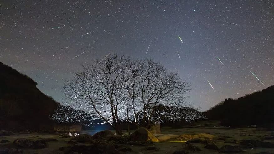 961f8b00ec4813291447bb7fb7e5e922.jpg 961f8b00ec4813291447bb7fb7e5e922.jpg