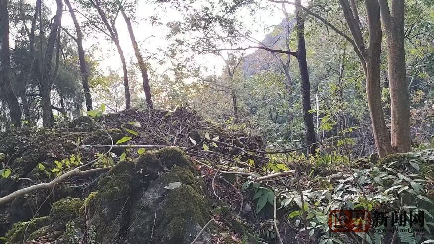 17a66644abc4d0666ab75848e0c5de72.jpg 17a66644abc4d0666ab75848e0c5de72.jpg