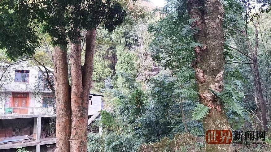 1e58cb98e3aa421956f4ca7f5955b862.jpg 1e58cb98e3aa421956f4ca7f5955b862.jpg