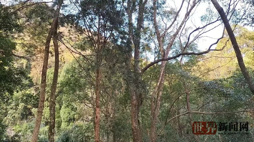 23b158a0c5a7c12c42152f2aa15d73d2.jpg 23b158a0c5a7c12c42152f2aa15d73d2.jpg