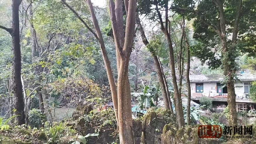 2a0623fc85ae12f3dc96e65eef2f3bad.jpg 2a0623fc85ae12f3dc96e65eef2f3bad.jpg