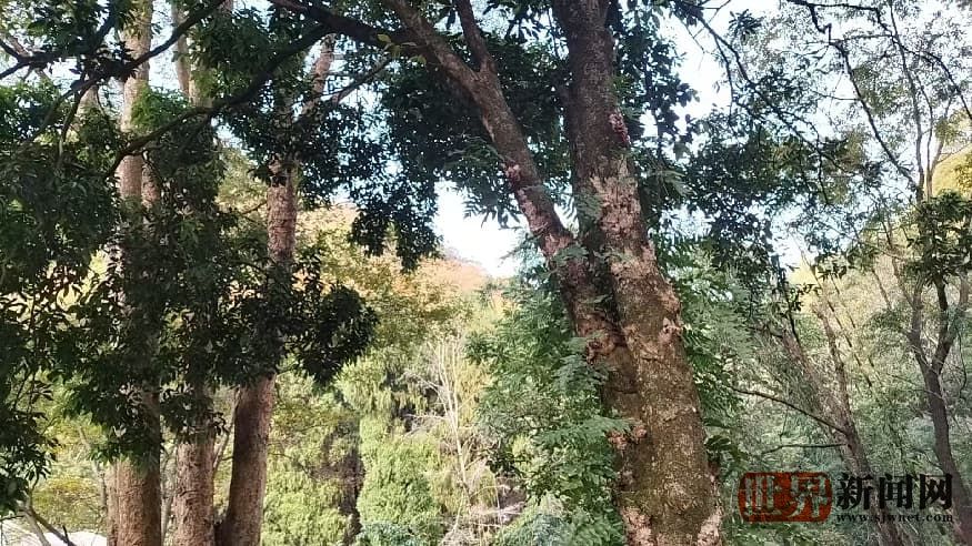 32c241103fb0edad8da00ad550275151.jpg 32c241103fb0edad8da00ad550275151.jpg