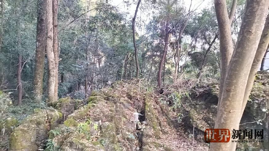 429f5f9a7ed8ce46f78d36ebd9ade142.jpg 429f5f9a7ed8ce46f78d36ebd9ade142.jpg