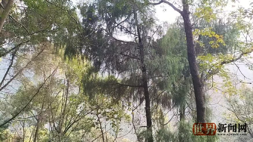 51fdd8a624f7d0e971cd353d05ce4dba.jpg 51fdd8a624f7d0e971cd353d05ce4dba.jpg