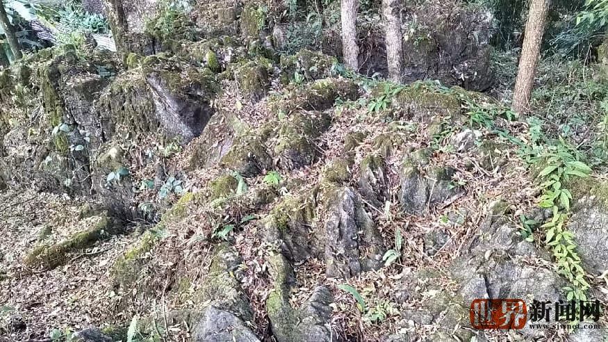 77e664f49914d570a2cda1c712821c7e.jpg 77e664f49914d570a2cda1c712821c7e.jpg