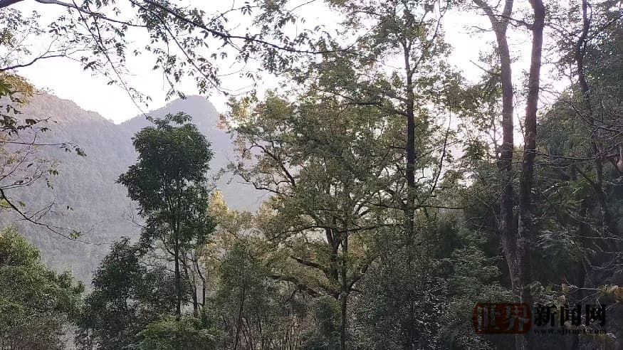 896976d9a3334a431f85bcbbcfdba25d.jpg 896976d9a3334a431f85bcbbcfdba25d.jpg