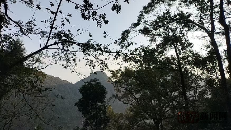 b163d7a6f617309e89db5d7731333e34.jpg b163d7a6f617309e89db5d7731333e34.jpg