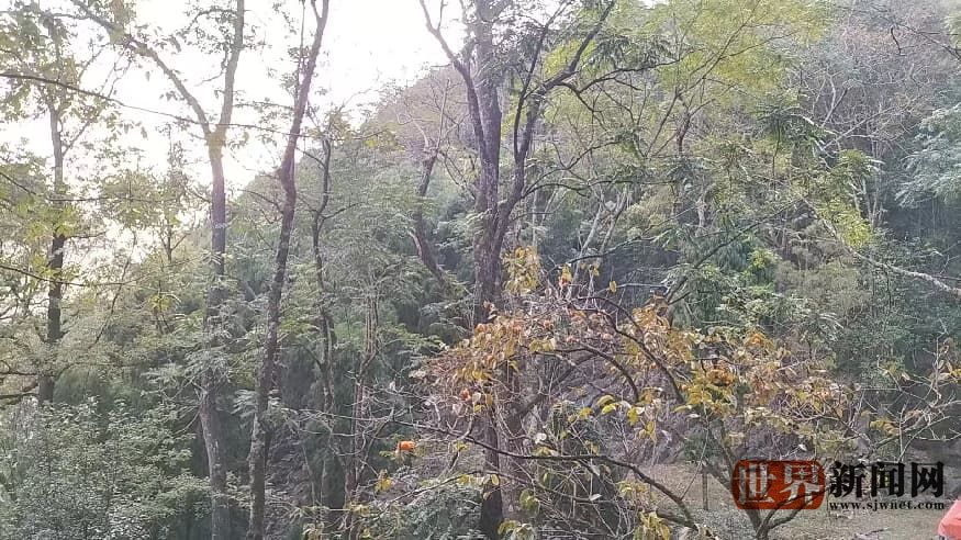 fea8e85657837fc4f12fa2a073d16e7d.jpg fea8e85657837fc4f12fa2a073d16e7d.jpg