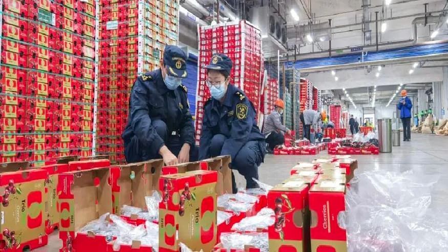 123bc6fc7aeb360ba86d2cbd655da5aa.jpg 123bc6fc7aeb360ba86d2cbd655da5aa.jpg