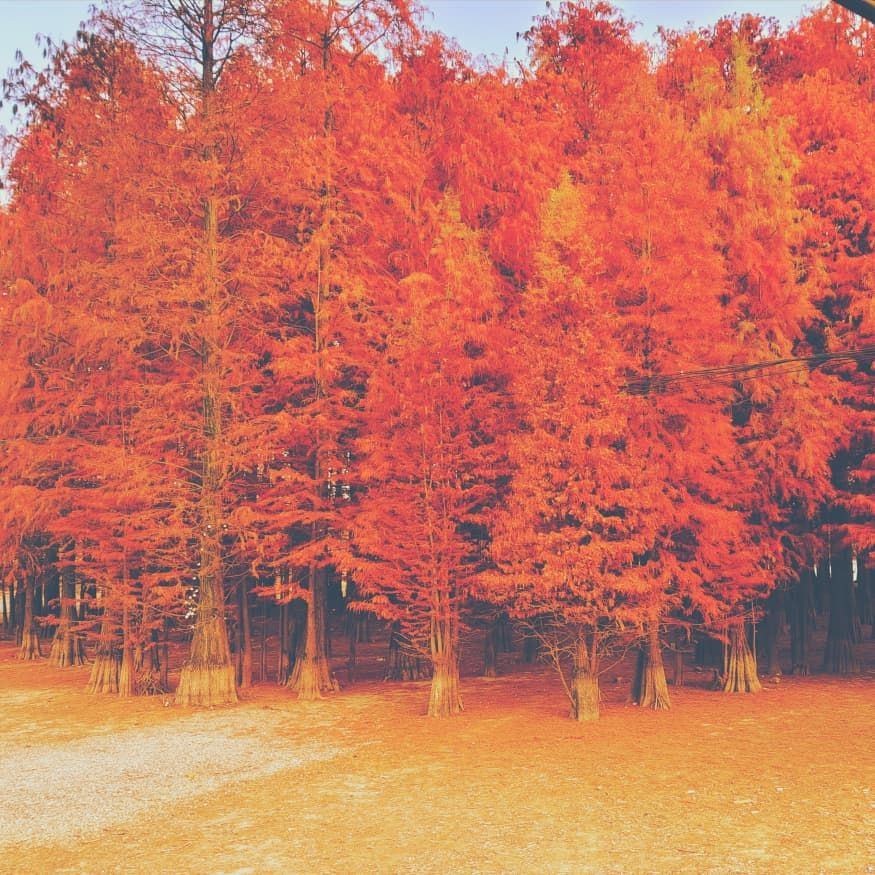 508f1581ddad6727501dba7c058db03c.jpg 508f1581ddad6727501dba7c058db03c.jpg