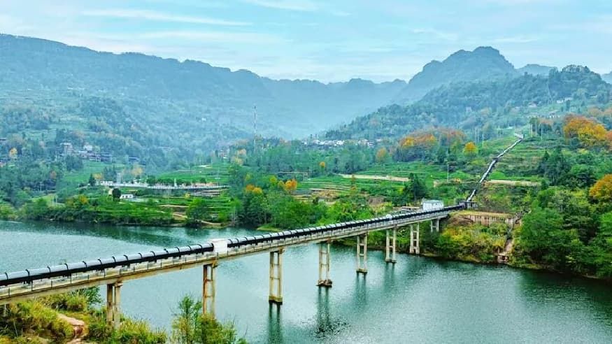 5e554197d42cae0e8968924a0c65848f.jpg 5e554197d42cae0e8968924a0c65848f.jpg