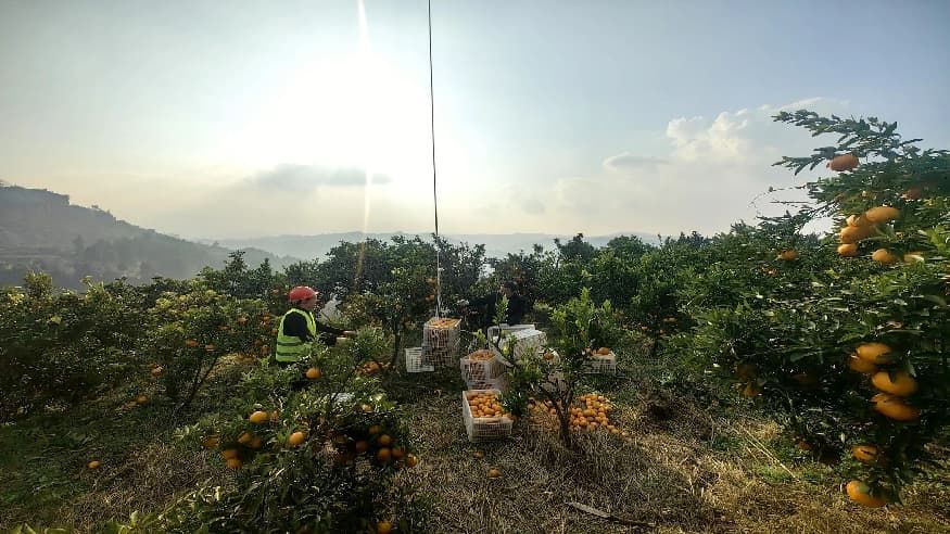 41cd5d7f8fada0049d9fad2726db6a68.jpg 41cd5d7f8fada0049d9fad2726db6a68.jpg