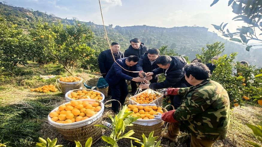 6614915d9760c4abe86fbbc68aa8eb71.jpg 6614915d9760c4abe86fbbc68aa8eb71.jpg