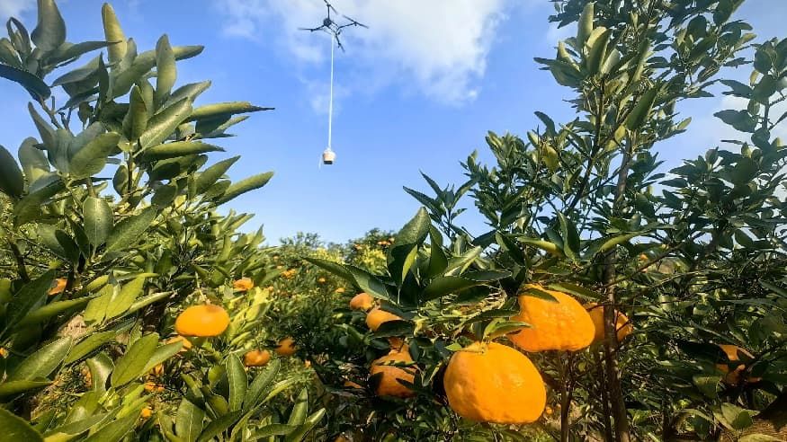 8eda40a483ccab646ed135f95b988205.jpg 8eda40a483ccab646ed135f95b988205.jpg