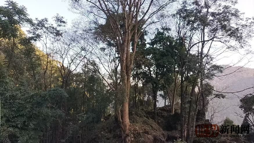 af9a406bd6ccf1b0a24720769180d922.jpg af9a406bd6ccf1b0a24720769180d922.jpg