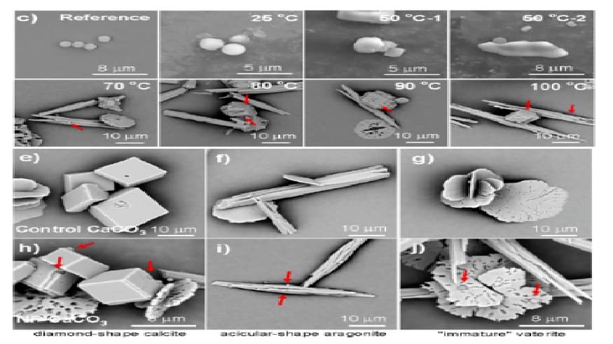 e21645a461f7b5aeeeea8fbd34d50474.jpg e21645a461f7b5aeeeea8fbd34d50474.jpg