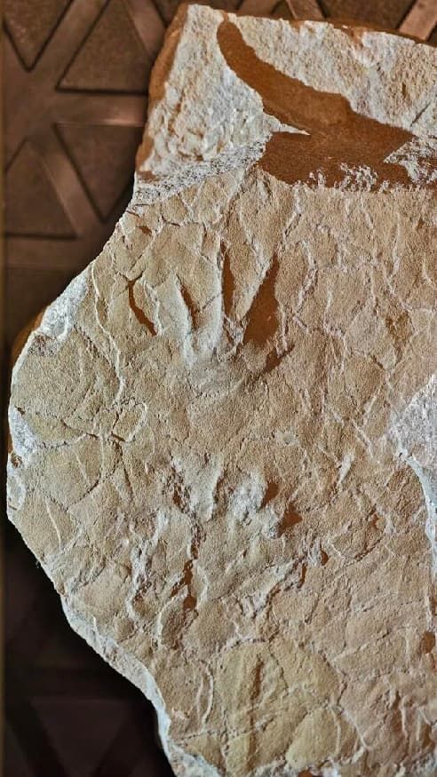 78e3ee1bb18a4a04ef249f380bccee06.jpg 78e3ee1bb18a4a04ef249f380bccee06.jpg