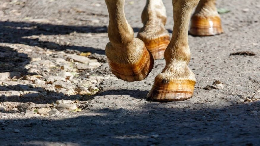 05fc73c2c35929e154d7fa2367d5bc7c.jpg 05fc73c2c35929e154d7fa2367d5bc7c.jpg