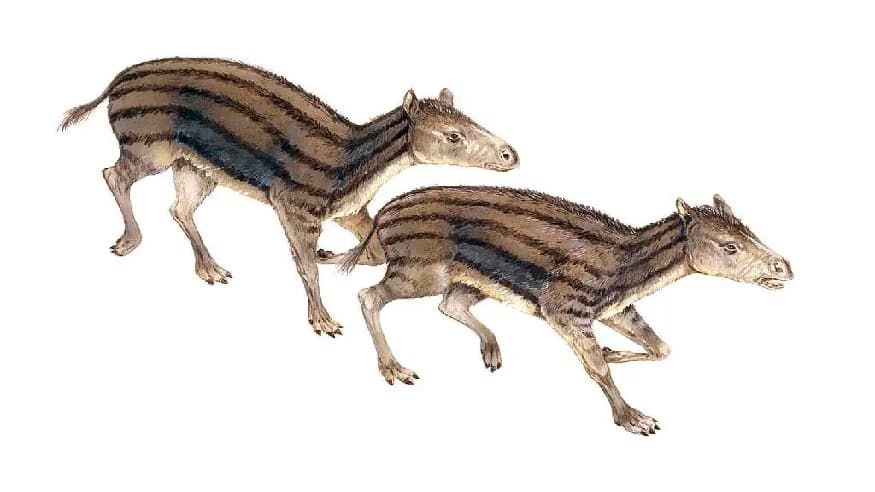 069869a40d0b945c9376dfce6a572298.jpg 069869a40d0b945c9376dfce6a572298.jpg