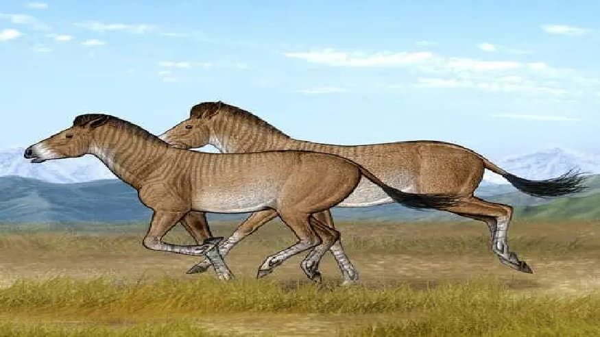 2ff2abeba37dccf31e8673243c5fedcc.jpg 2ff2abeba37dccf31e8673243c5fedcc.jpg