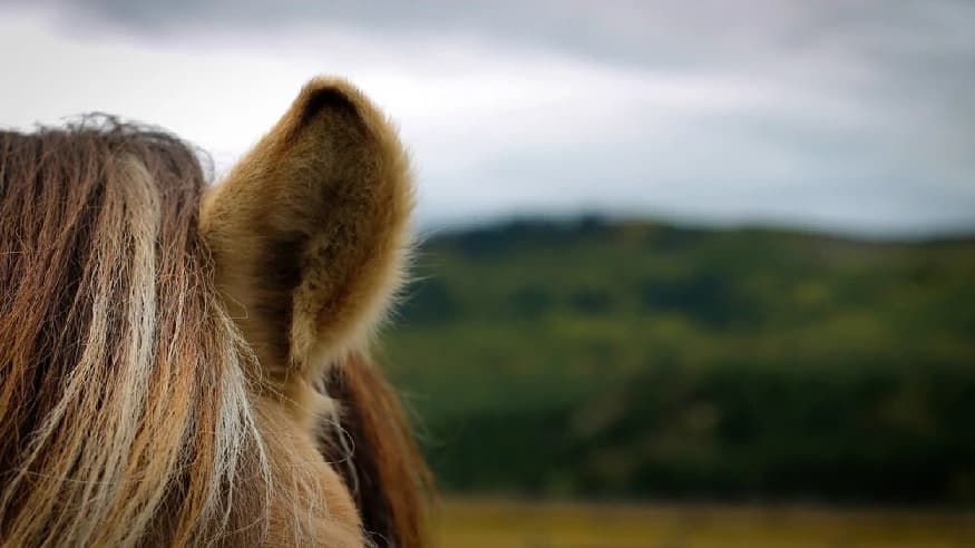 4a29ca3f01c6bfe2ee02a77b88ba69c1.jpg 4a29ca3f01c6bfe2ee02a77b88ba69c1.jpg