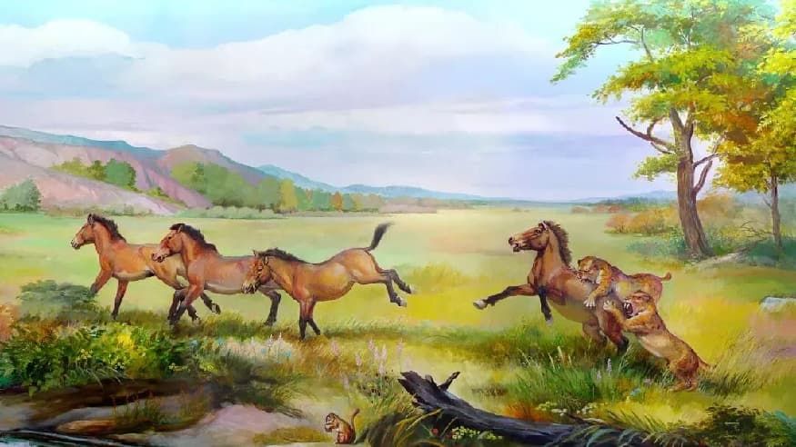 7c1da40917655eef5187d9187c760a16.jpg 7c1da40917655eef5187d9187c760a16.jpg