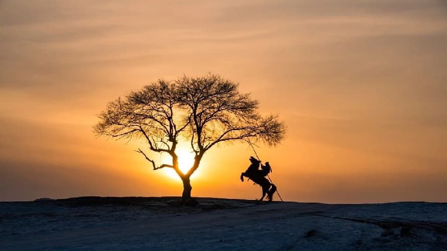 b7394dc7ba6efdf650273000ea94e66e.jpg b7394dc7ba6efdf650273000ea94e66e.jpg