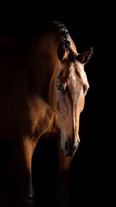 cdef8d39c6cba204b81a5cfe9ba1e178.jpg cdef8d39c6cba204b81a5cfe9ba1e178.jpg