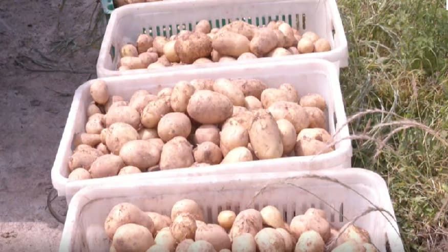 106667c5093ea5434284589fdf250cb7.jpg 106667c5093ea5434284589fdf250cb7.jpg