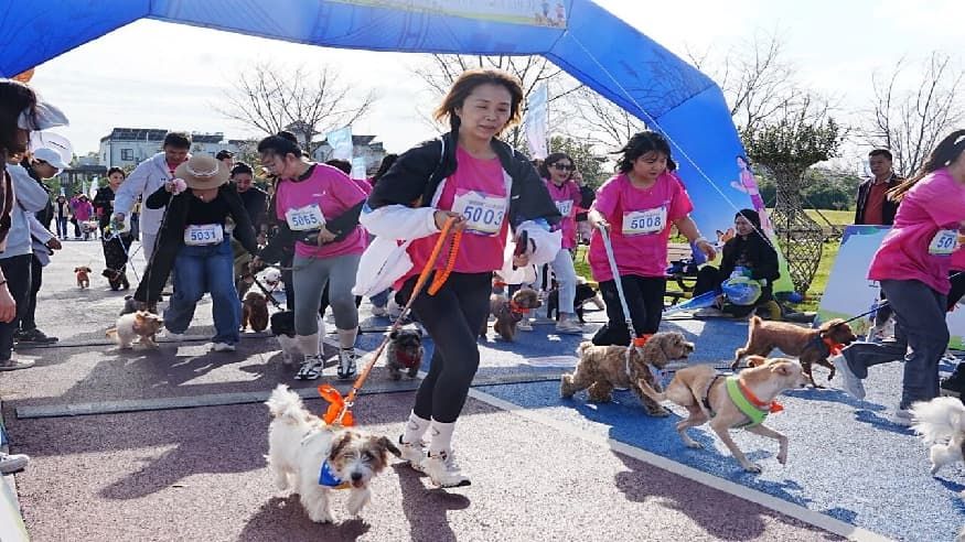 303aaf588d6bb215a9f3013ab05966a4.jpg 303aaf588d6bb215a9f3013ab05966a4.jpg