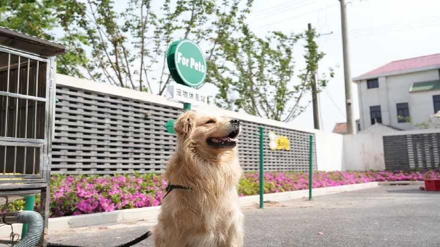 f41b669518b18469c245f0ff93b46b63.jpg f41b669518b18469c245f0ff93b46b63.jpg