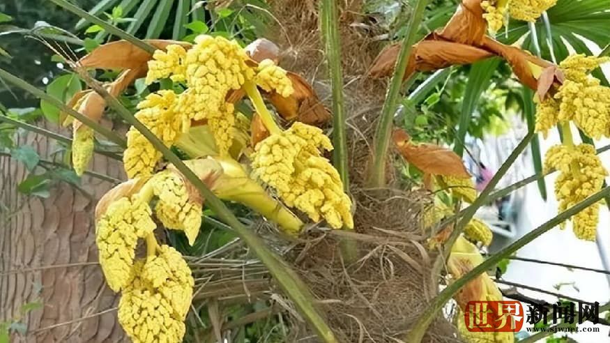 2a10e2a5401d792b9e584c7ab8f43611.jpg 2a10e2a5401d792b9e584c7ab8f43611.jpg