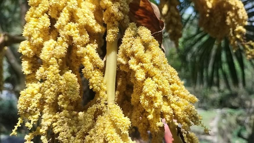 5e1b9e16e36d4e1e72aee975a4477c17.jpg 5e1b9e16e36d4e1e72aee975a4477c17.jpg