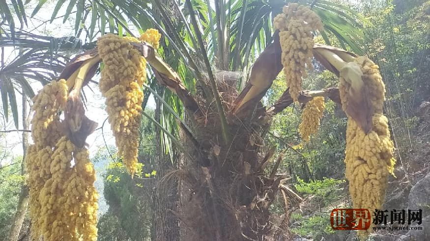 648edab2e335d89466989756bf44b9ab.jpg 648edab2e335d89466989756bf44b9ab.jpg