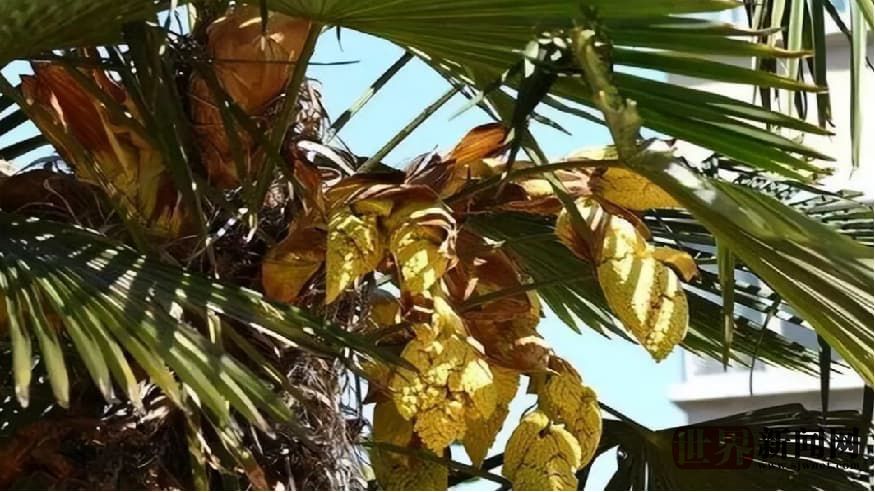 acb7ec3f01fab2ca6fe23f5ac74e37ef.jpg acb7ec3f01fab2ca6fe23f5ac74e37ef.jpg