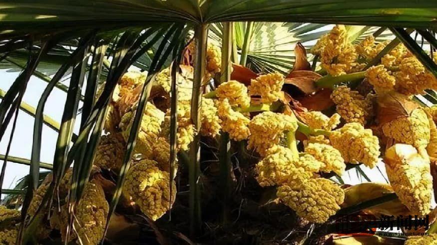 be3b9197ed3382f99e16448e65d44a9a.jpg be3b9197ed3382f99e16448e65d44a9a.jpg