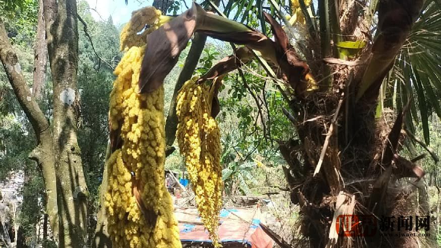 c3102cc871b3f6ce05011ccd6d41b57e.jpg c3102cc871b3f6ce05011ccd6d41b57e.jpg