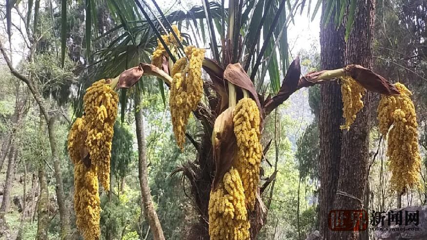 d8bcd686f71b4e91be941cb1eebb3bc1.jpg d8bcd686f71b4e91be941cb1eebb3bc1.jpg