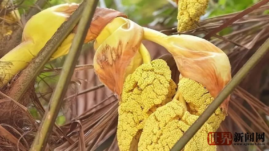 e42d37197b448df28dbe16177932d4c1.jpg e42d37197b448df28dbe16177932d4c1.jpg