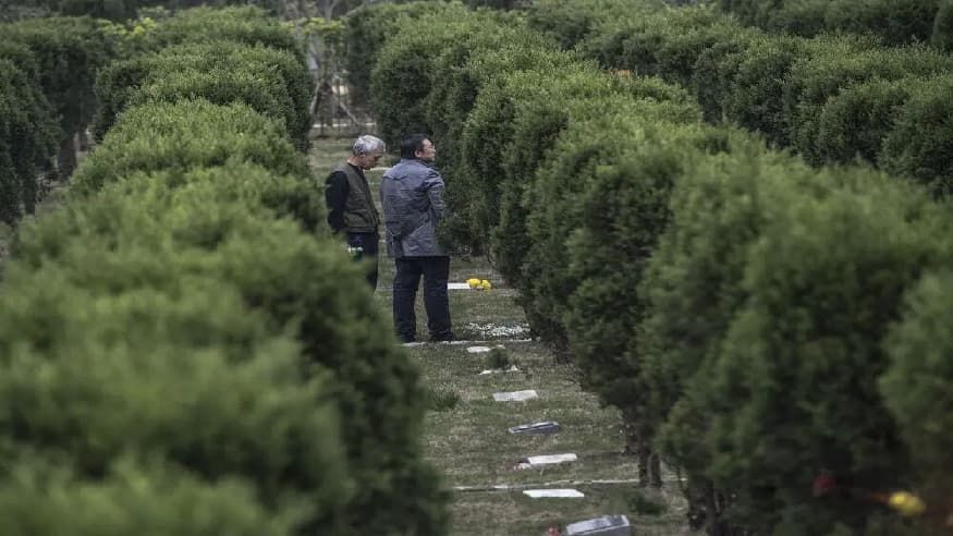 1bde5ef399a7947d6ee09727d3da62d9.jpg 1bde5ef399a7947d6ee09727d3da62d9.jpg