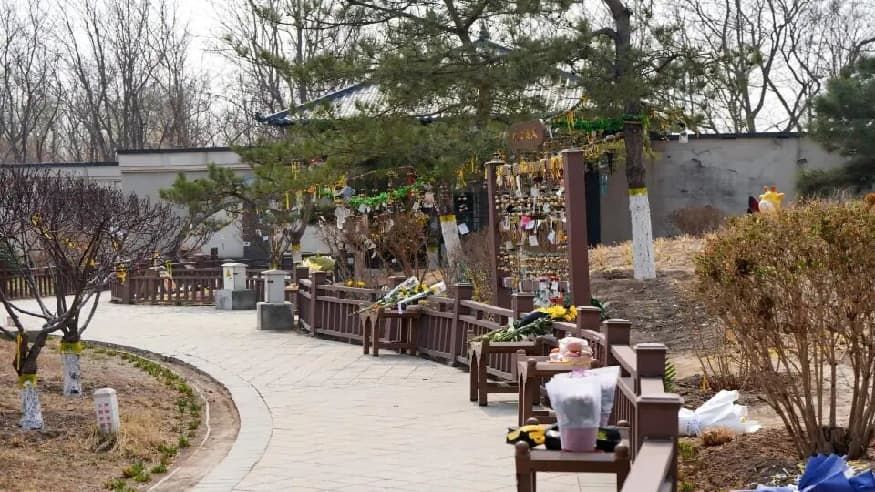 82fe33055c62a49a5e859d5fdfe61946.jpg 82fe33055c62a49a5e859d5fdfe61946.jpg